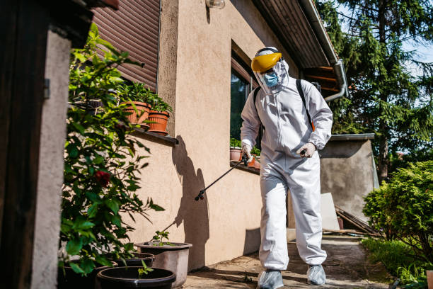 Best Residential Pest Control  in Sand Springs, OK