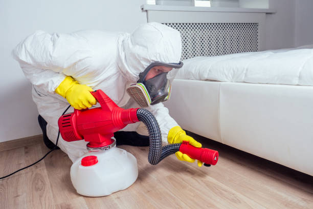 Best Wasp Removal Services  in Sand Springs, OK