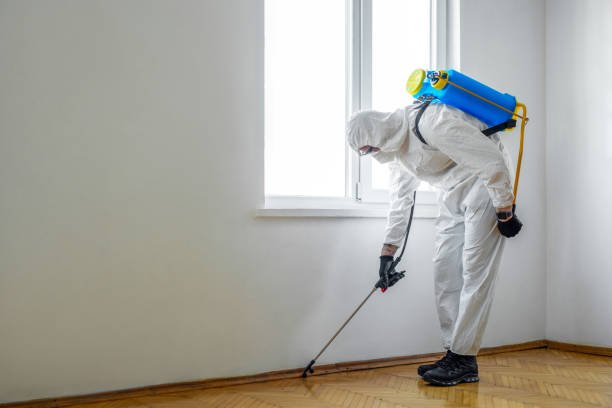 Wildlife Control Services in Sand Springs, OK