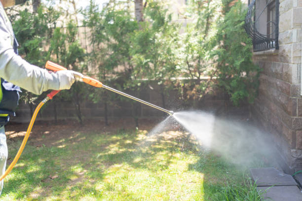Reliable Sand Springs, OK Pest Control Solutions