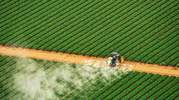 Best Termite Control Services  in Sand Springs, OK