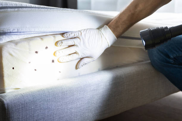 Best Best Pest Control Companies  in Sand Springs, OK