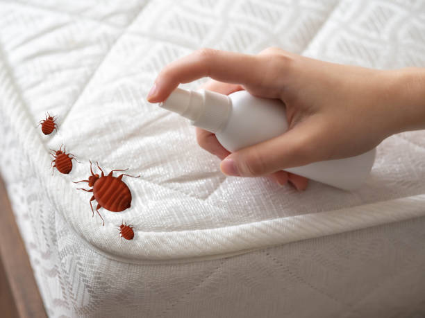 Best Bed Bug Extermination  in Sand Springs, OK