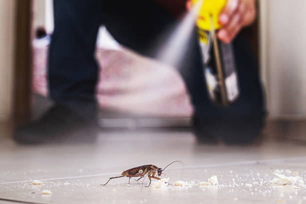 Best Pest Prevention Services  in Sand Springs, OK