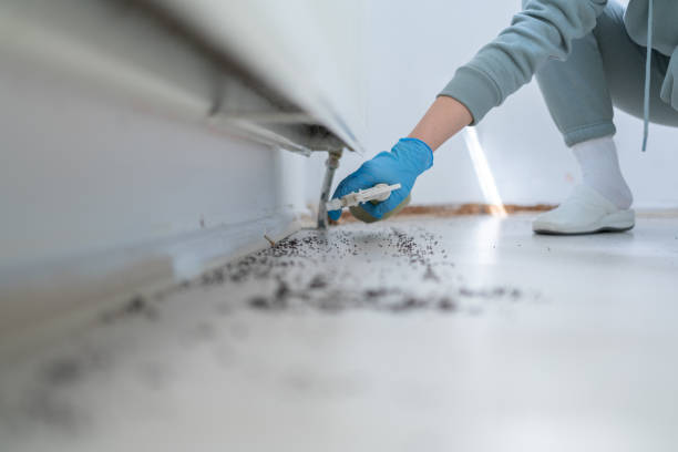 Best Pest Removal Services  in Sand Springs, OK