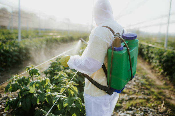 Best Pest Control Near Me in Sand Springs, OK